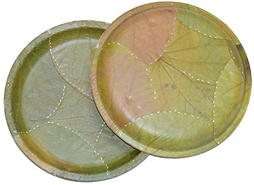 Image of SWHF Bio Degradable Disposable Plates | Eco Friendly | Wedding | Anniversary | Birthday | Party Events | Occasion | Compostable | Natural | SAL Leaf Plates11.5 (Pack of 25)