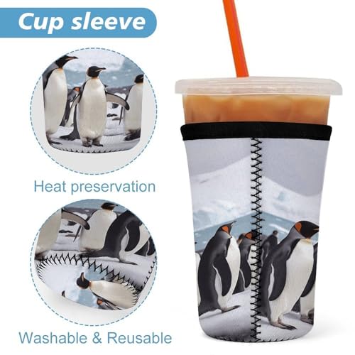 Fundas universales para bebidas frías Antarctica Penguins que eliminan las gotas de condensación 4