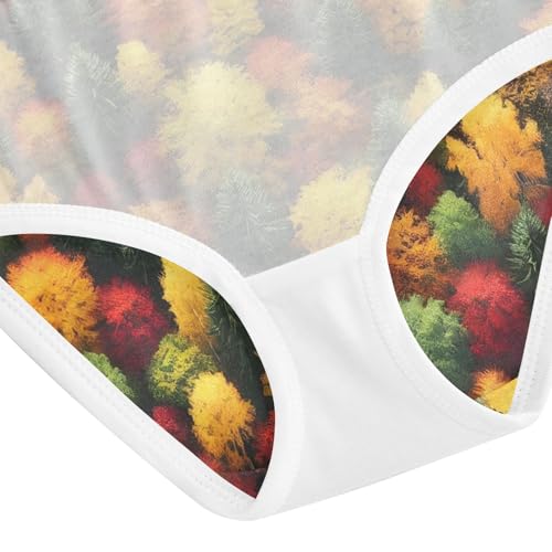 Autumn Forest Colors Girls Underwear Toddlers 2t Cotton Cute Panties Girl Funny Kids Undies Briefs 5
