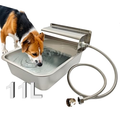 Home Dog Safety & Outdoors