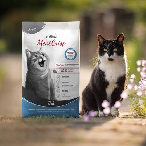 PLATINUM - Katzenfutter MeatCrisp Adult Fish aus dem Frischfleischtrockner - 1,5kg Katzenfutter trocken mit 82% Frischfleisch - Trockenfutter für Katzen - Crispy Biss und leicht verdaulich