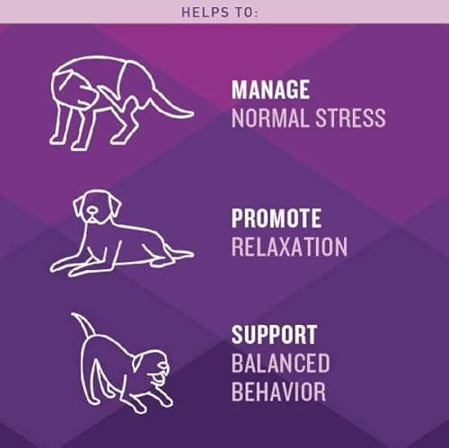Vetiq Calming Support Supplement For Dogs, Anxiety Supplement Soft Chews, 60 Count #TOP3