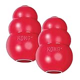 8 Great Enrichment Ideas for Senior Dogs That They Will Love Product Image