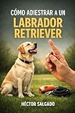 retriever labrador puppies  Cómo Adiestrar a un Labrador Retriever (Cómo Adiestrar a un Perro de Raza)