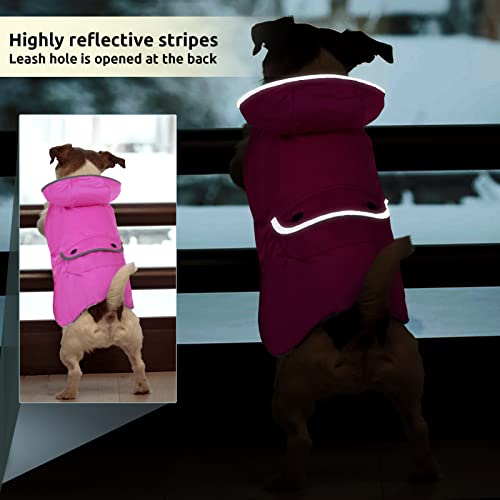 Preferhouse Dog Winter Coat Waterproof Windproof Dog Reflective Warm Vest, Dog Pet Apparel For Cold Weather, Dog Outdoor Jacket For Small Medium Extra Large Dogs With Removable Hat, Rose Xxl #TOP5