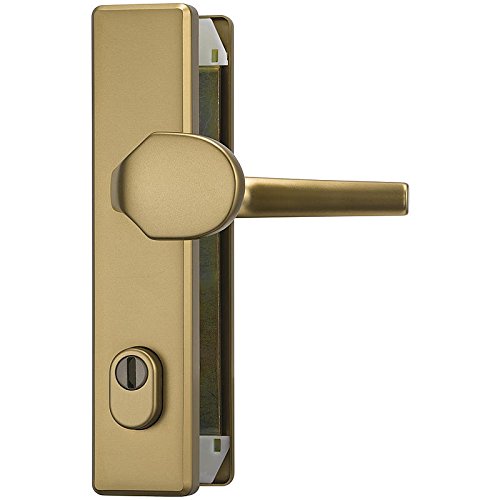 ABUS Türbeschlag HLZS814 F4 Art. 8415 - Schutzbeschlag für Haustüren und Wohnungsabschlusstüren aus Legiertem Stahl in Gold