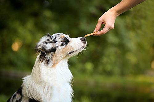8in1 Fillets Pro Active Hunde-Snack mit Hähnchen, funktionale Leckerlis für Hunde, unterstützt die Mobilität, 80 g Beutel