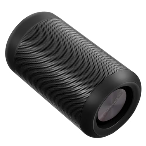 Enceinte sans fil puissante double haut-parleur idéale pour l'extérieur