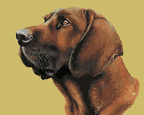 Peinture par numéros animaux pour décorer un salon chaleureux