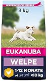 Eukanuba