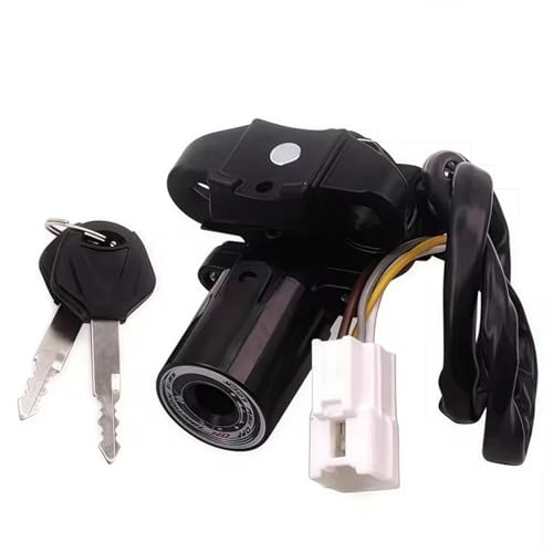 Arranca sin fallos usando la cerradura de interruptor para Ninja 1000 5