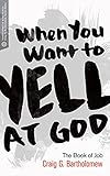 When You Want to Yell at God: The Book of Job (Transformative Word)
