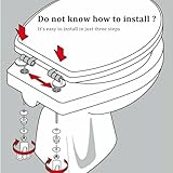 POPAPIE B0F9PLVJ2R lato 3