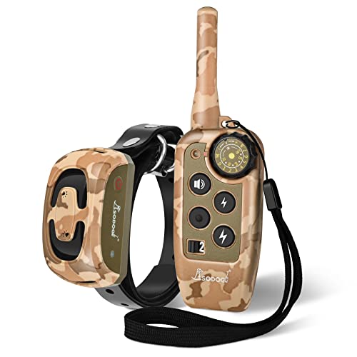 List of Ten Best Waterfowl Dog Breeds [Top Picks 2023 Reviews]