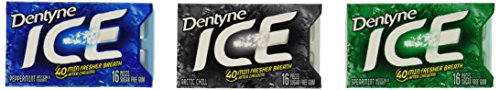 Dentyne Ice Mint Variety Gum, 12 Count