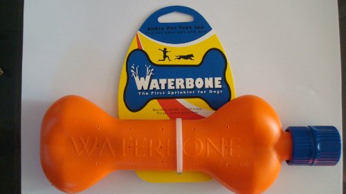 WATERBONE: First Water Sprinkler for Dogs!