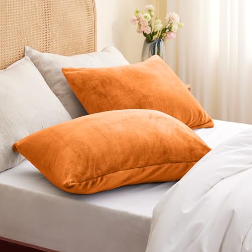 Image of BEDELITE Flannel Pillowcases Standard Set of 2, Burnt Orange, 20x26 Inches