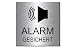 Produktbild Alarmgesichert-überwacht-Symbol-Schild 100 x 100 x 3 mm-Aluminium Edelstahloptik silber mattgebürstet-selbstklebend Warnschild-Alarmschild-Hinweisschild 1910-32
