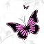 Butterflies Pink - White Pink