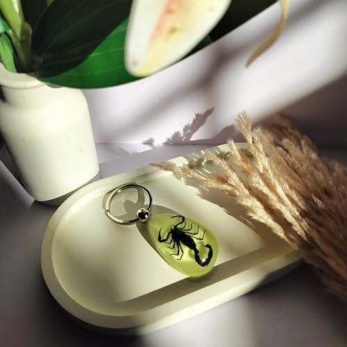 Image of DezArt Glow in the Dark Scorpion Keychain | Preserved Insect Resin Keychain | Unique Handcrafted Gift for Men Women