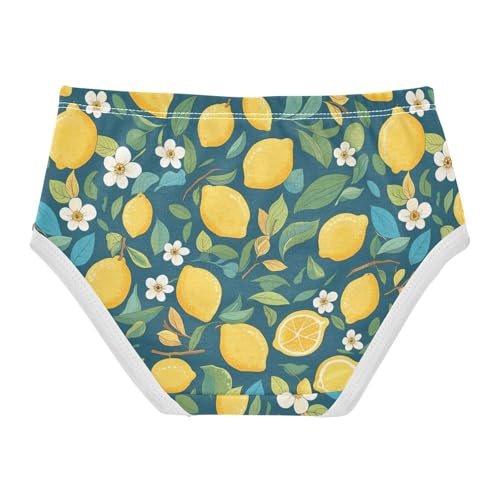 Wusikd Lemons Girls' Underwear Cotton Leaves Flowers Girls Briefs Soft Toddler Underwear 2T2