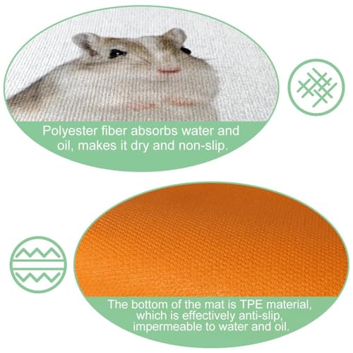 Tapetes de cocina absorbentes alfombras lavables pasillo VAPOKF 6