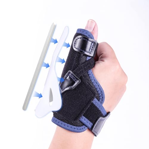 KUAZIDAR ewXvg - O\ȐewX^rCU[AƉEpewT|[gXvgA֐߉CMCpXpCNewXvg