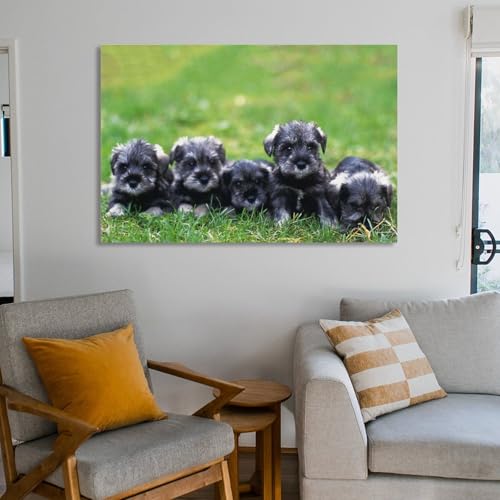 Schnauzer poster déco 40x60 impression sur toile salon et chambre à coucher - 6