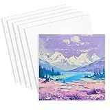 5 Stück Leinwand zum Bemalen Set, Keilrahmen Leinwand, Kleine Leinwände zum Malen, Leere Leinwand paneele, für Acryl und Öl Malerei Sowie zum Skizzieren und Zeichnen (20 x 20 cm)
