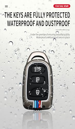 Coque de clé Hyundai Accent Elantra boîtier télécommande 2 3 boutons plip - 3