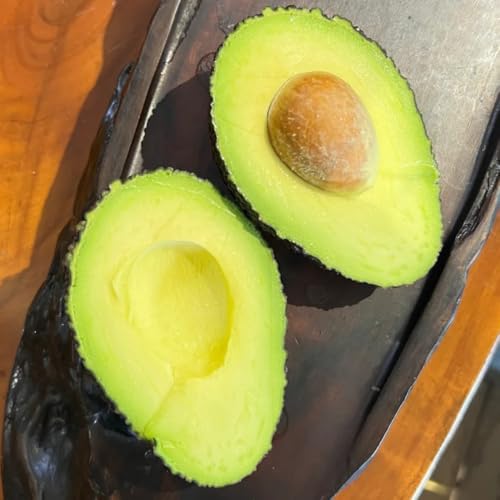 Comprar semillas de árbol de aguacate semillas de árboles, plantas para lugares soleados plantando un árbol de aguacate árboles frutales, semillas de variedades antiguas Plantas de 5pcs