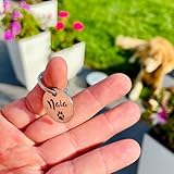 GOLDEN PAW Hundemarke mit Gravur personalisiert, Namensschild mit Telefonnummer, Adresse für Halsband - robuste Tiermarke aus Edelstahl, Dog Tag, Anhänger für Hunde, Katzen, Pferde & Welpen | Silber