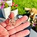 GOLDEN PAW Hundemarke mit Gravur personalisiert, Namensschild mit Telefonnummer, Adresse für Halsband - robuste Tiermarke aus Edelstahl, Dog Tag, Anhänger für Hunde, Katzen, Pferde & Welpen | Silber