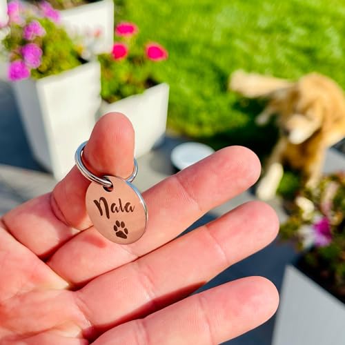 GOLDEN PAW Hundemarke mit Gravur personalisiert, Namensschild mit Telefonnummer, Adresse für Halsband - robuste Tiermarke aus Edelstahl, Dog Tag, Anhänger für Hunde, Katzen, Pferde & Welpen | Silber