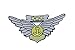 Combat Aircrew Wings Patch â€“ No Hook and Loop