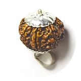 CaratYogi Real 5 Mukhi pięć twarzy Rudraksha wisiorek okrągły rudraksh srebro wysokiej próby medalion czakra uzdrawianie
