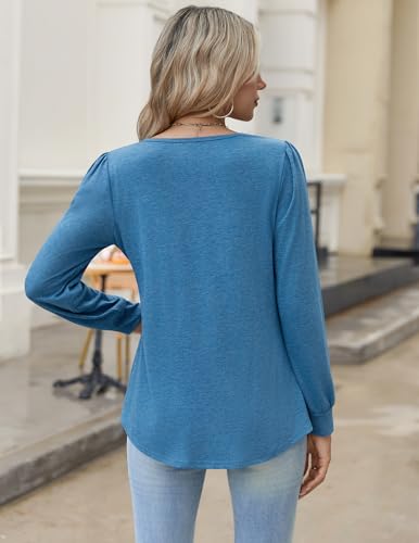 Image of Zeagoo Womens Long Sleeve Tops Fall V Neck Shirt Casual Pleated Tunic Top