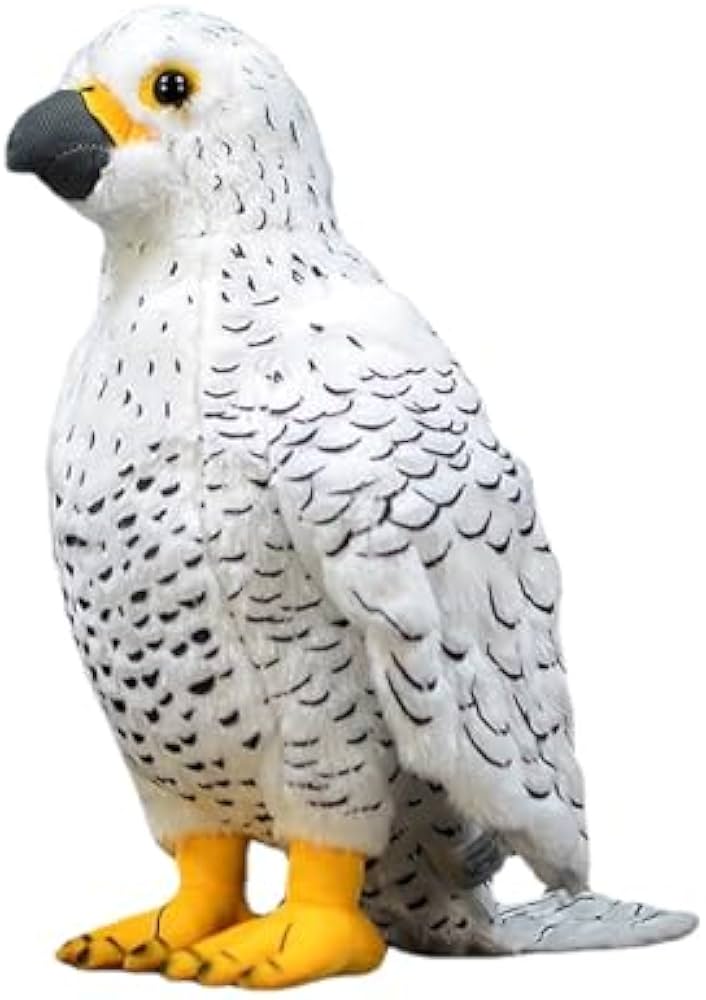 Amazon.co.jp: Fmtop-JP 白隼 シロハヤブサ ぬいぐるみ Falco Amazon.co.jp: Fmtop-JP 白隼 シロハヤブサ ぬいぐるみ Falco