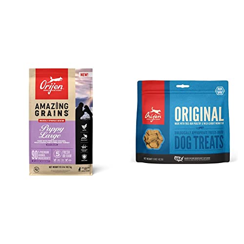 Your Ultimate Guide to Choosing the Best Orijen Puppy Dog Food Top 10