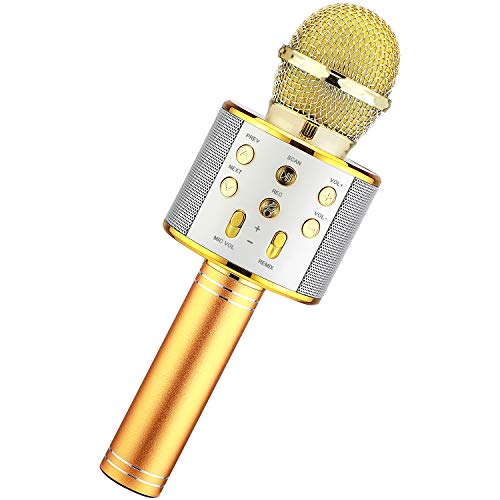 HL Audio Christmas Toys Kids Girls Karaoke Microphone, Wireless Bluetooth Karaoke Microphone for Kids Girls, Singing Toys for 3-12 Year Old, Kids Girls Microphone for Singing (Gold)