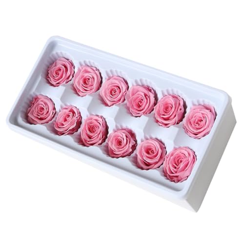 GALPADA Flores Preservadas Rosas Claras 12 Piezas Cabeza 3-4 CM para Decoración de Cumpleaños y Bodas, Accesorios DIY para Parejas y Eventos
