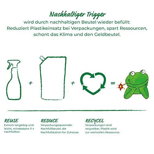 Frosch Glas-Reiniger Spiritus, 500 ml(1er Pack)