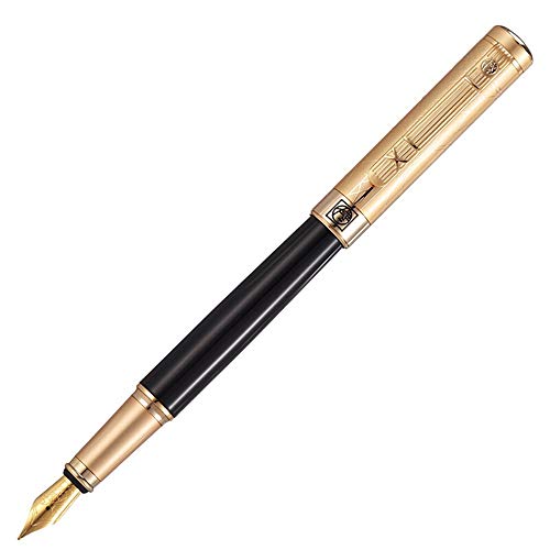 Stylo-plume Picasso 902 Gentleman à pointe moyenne, écriture élégante et signature