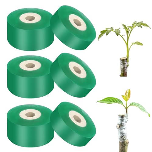 DUTIFUL 6 rollos de cinta de injerto autoadhesiva para árboles frutales, cinta protectora elástica para árboles frutales en el huerto (2 cm, 3 cm, 3 rollos de cada tamaño)