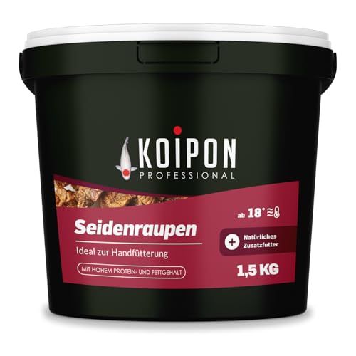 KOIPON Seidenraupen 1,5 kg getrocknet, Naturfutter ergänzend zu Koifutter für japanische Koi & Goldfische, Fischfutter, Leckerli zur Handfütterung