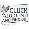Funny Chicken Cluck Around and Find Out Tin Sign for Home Farm Chicken Coop Farmhouse Kicthen Garden Decor 8 X 12 Inch 3021