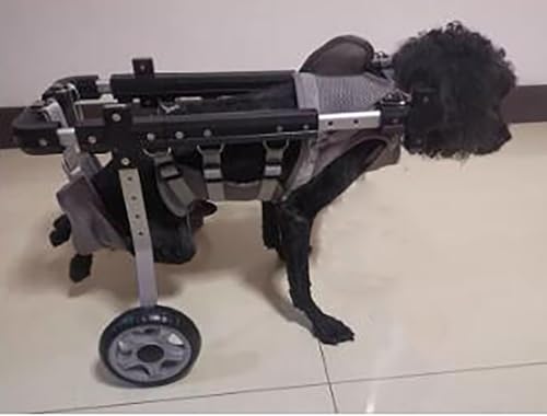 Silla de ruedas para perros pequeños y paseos activos con soporte de 4 ruedas 3