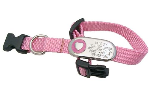 Luckypet Jewelry Id Collar - Personalized Jewelry Pet Id Tag Attached To An Adjustable Nylon Collar - Color: Blue, Design: Paw, Collar Size: 1" X 12-18" #TOP2