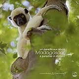 Madagascar, un paradis aux abois