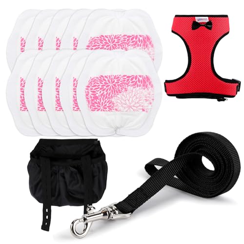 Yesito Adjustable Chicken Harness Diaper (5.4ft Leash) Breathable & Washable Secure Training for Hens Ducks & Chicks | Outdoor Walking & Discipline Solution red